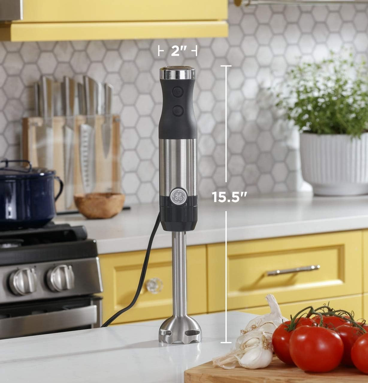 Immersion Blender